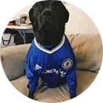 CakhiaTV – Cà Khịa TV phát trực tiếp bóng đá xuyên Tết 2026 23 Khán giả Chân Đen Sì