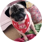 CakhiaTV – Cà Khịa TV phát trực tiếp bóng đá xuyên Tết 2026 22 Khán giả Lữ Đoàn Cho Đỉm